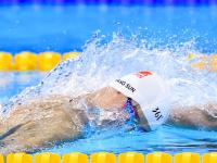 FB体育网页版-1.史诗叙事型，沙漠之狐的致命一击，当B费的利刃刺穿非洲雄鹰，2026世界杯H组的唯一剧本