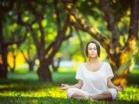 FB体育下载-2026世界杯焦点战，国际米兰元素如何助几内亚在末节上演逆转传奇？