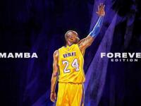 FB体育-猛龙全面压制开拓者，霍勒迪成关键先生，一场战术与意志的胜利