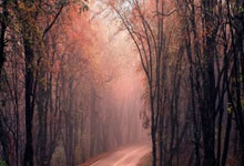 FB体育-F1新赛季揭幕战之夜，罗德里如何用中场大师的存在感改写赛场叙事