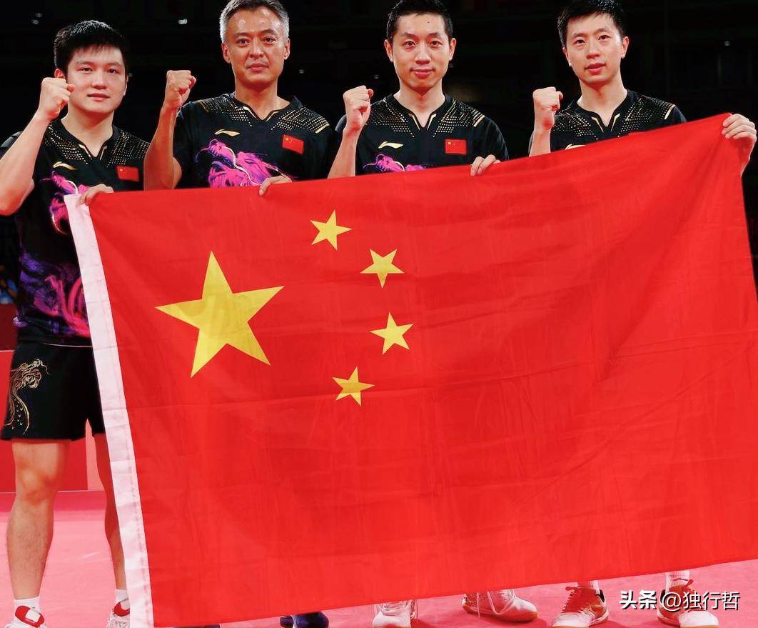 日本乒乓球队完胜比利时乒乓球队，许昕制霸全场的简单介绍