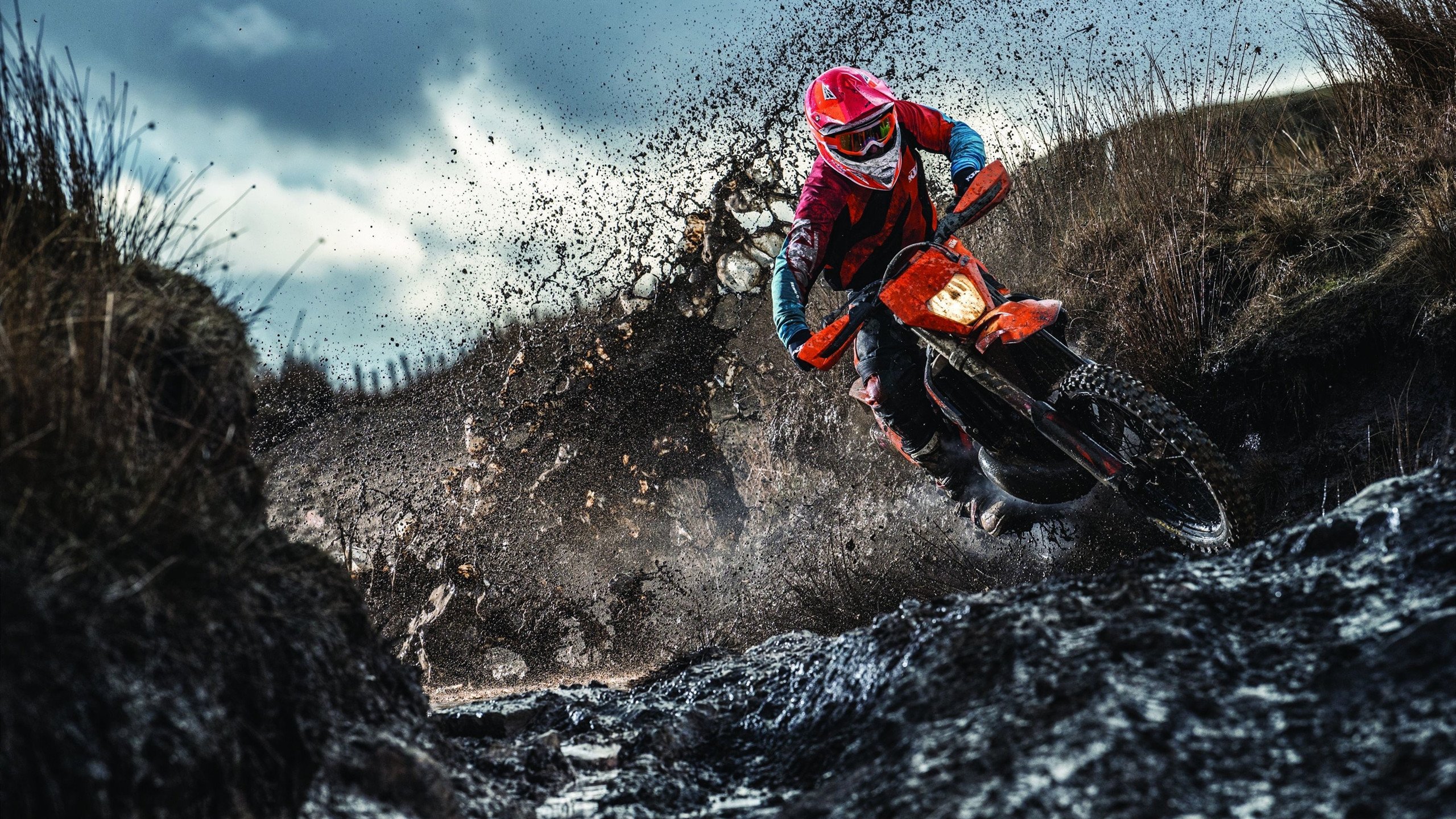 跨越时空的接管者，从上海滩到总决赛，关键战中的主宰基因